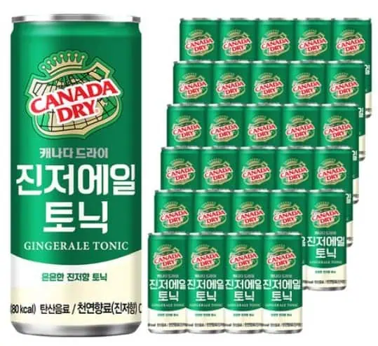 캐나다 드라이 진저에일 캔