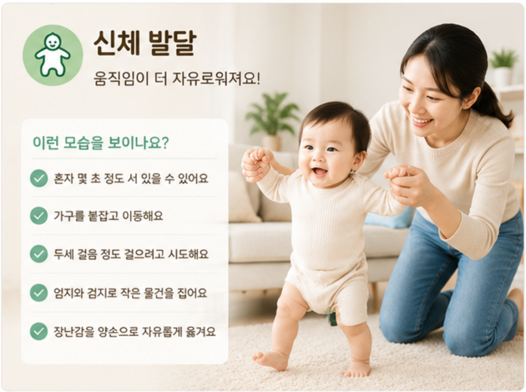 12개월 2