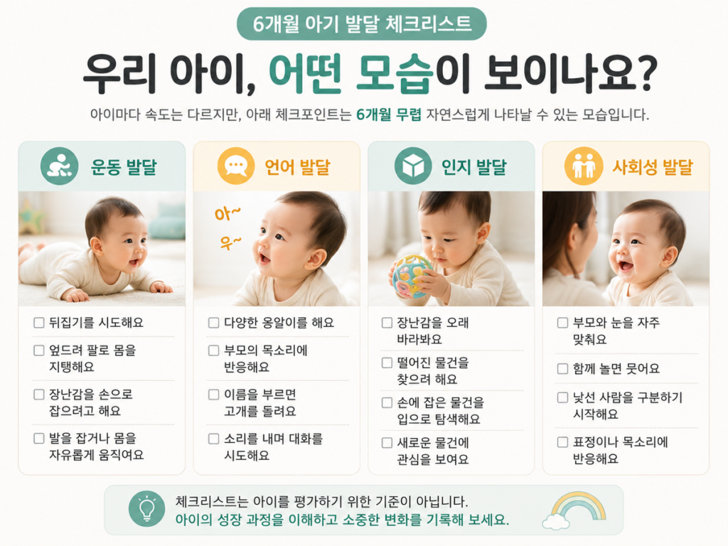 6개월 체크리스트